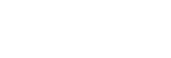 Network Optix